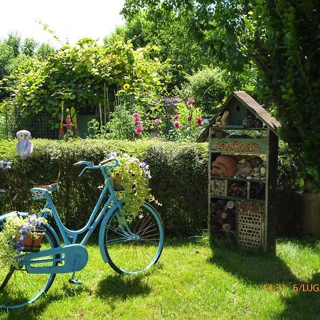 Bed & Bike Belfiore Монтаньяна Экстерьер фото